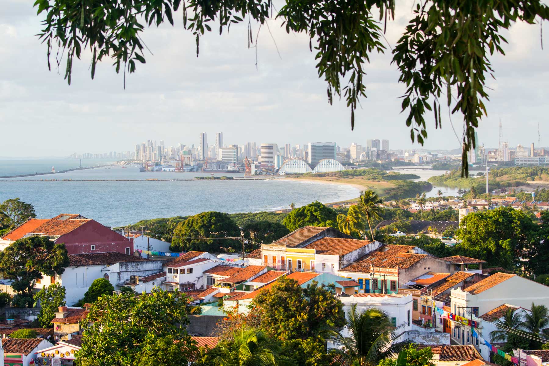 Paysage urbain avec au premier plan une végétation luxuriante et des vielles maisons colorées, tandis qu’au loin se dressent des immeubles modernes.
