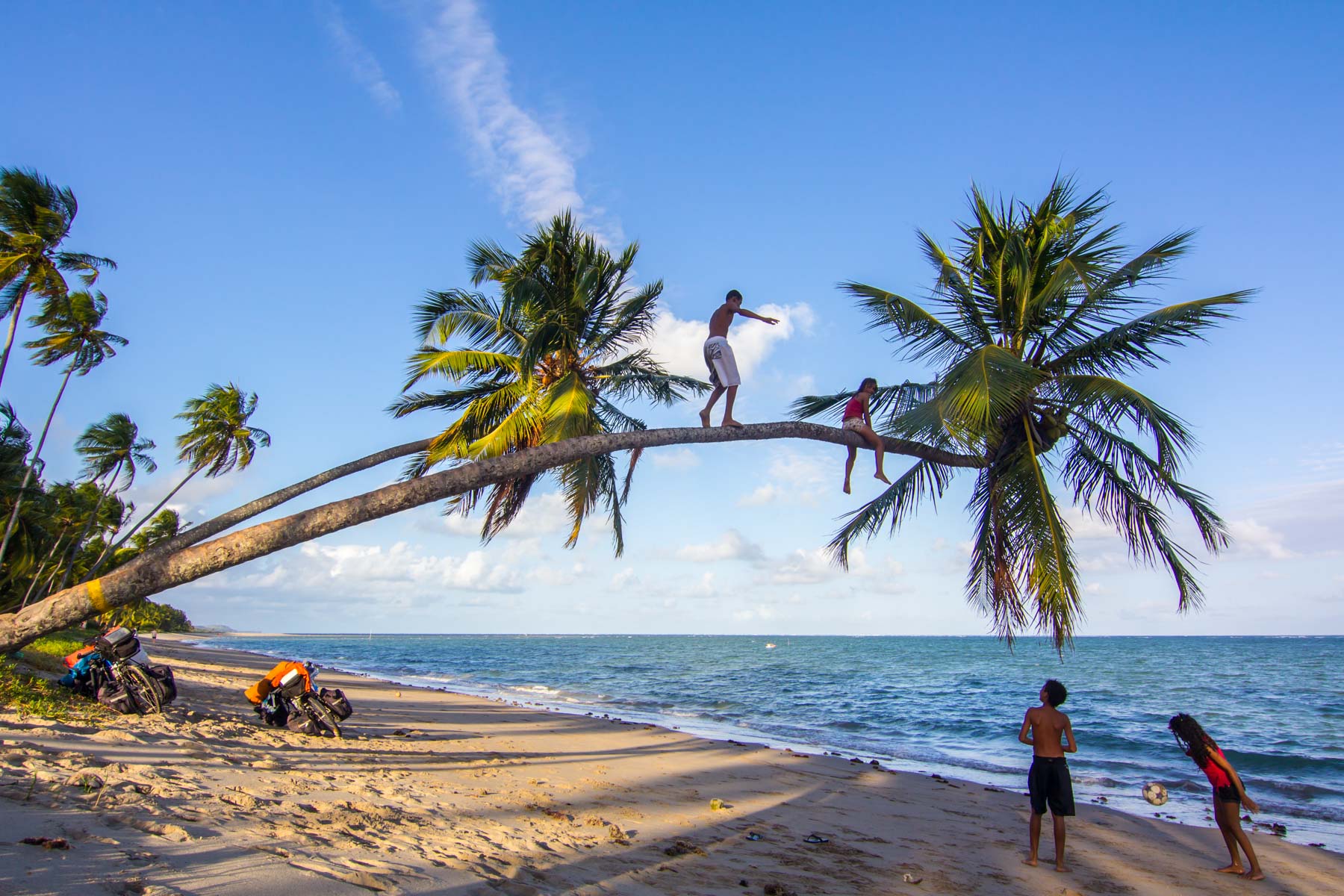 Deux enfants jouent au ballon sur une plage de sable tandis que deux autres grimpent sur le tronc d’un palmier penché au-dessus des vagues.