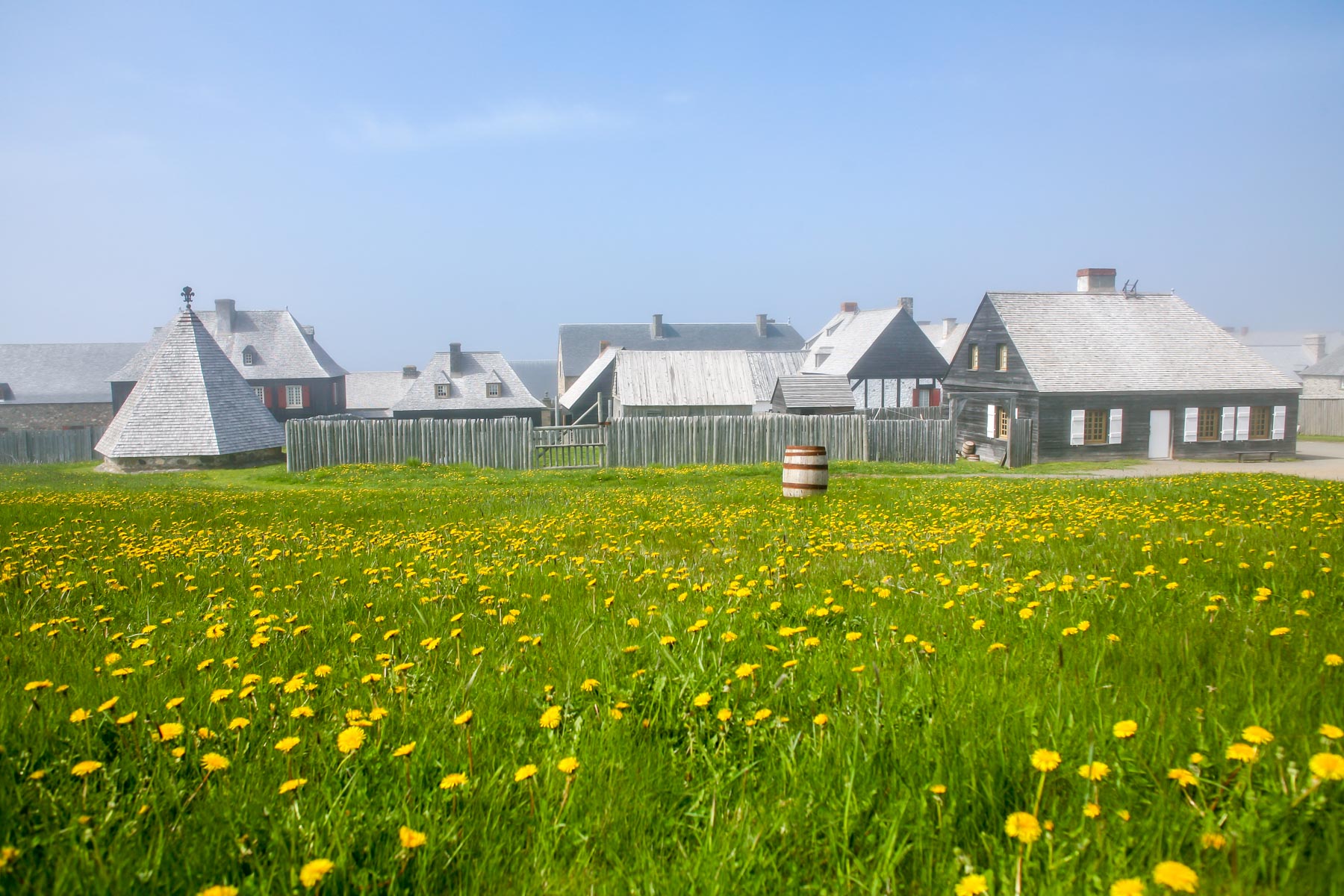 Vue d’ensemble de la Forteresse-de-Louisbourg avec un champ parsemé de fleurs jaunes à l’avant-plan.