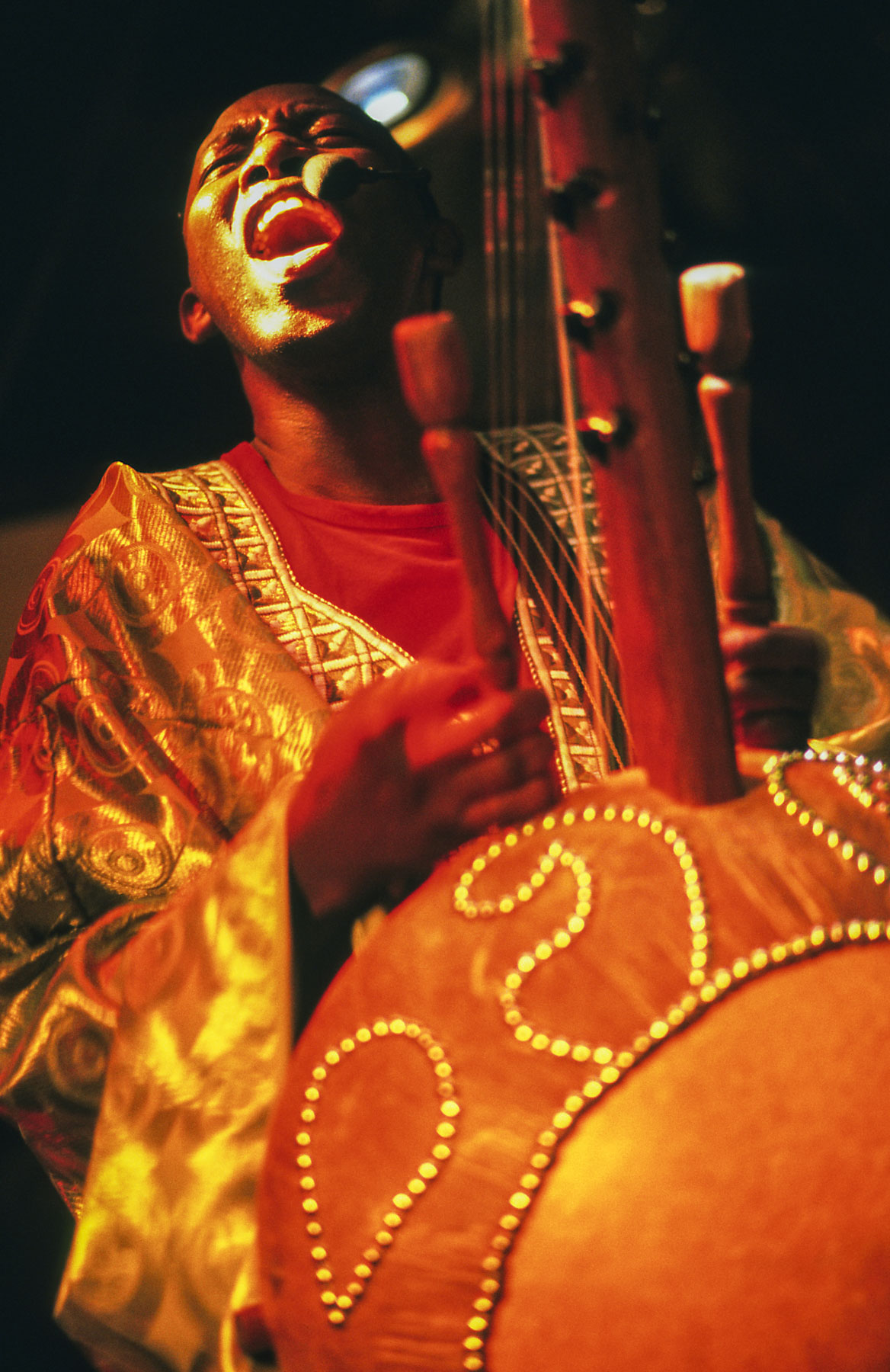 Un chanteur africain en habit traditionnel joue d’un gros instrument à cordes durant un spectacle de nuit.