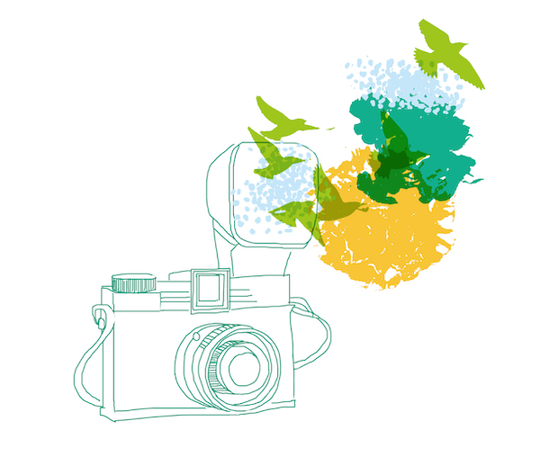 Illustration of a camera with flowers and flying birds.