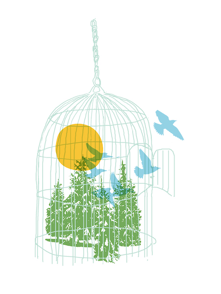 Illustration of a birdcage with several conifers inside, birds in flight and a sun.