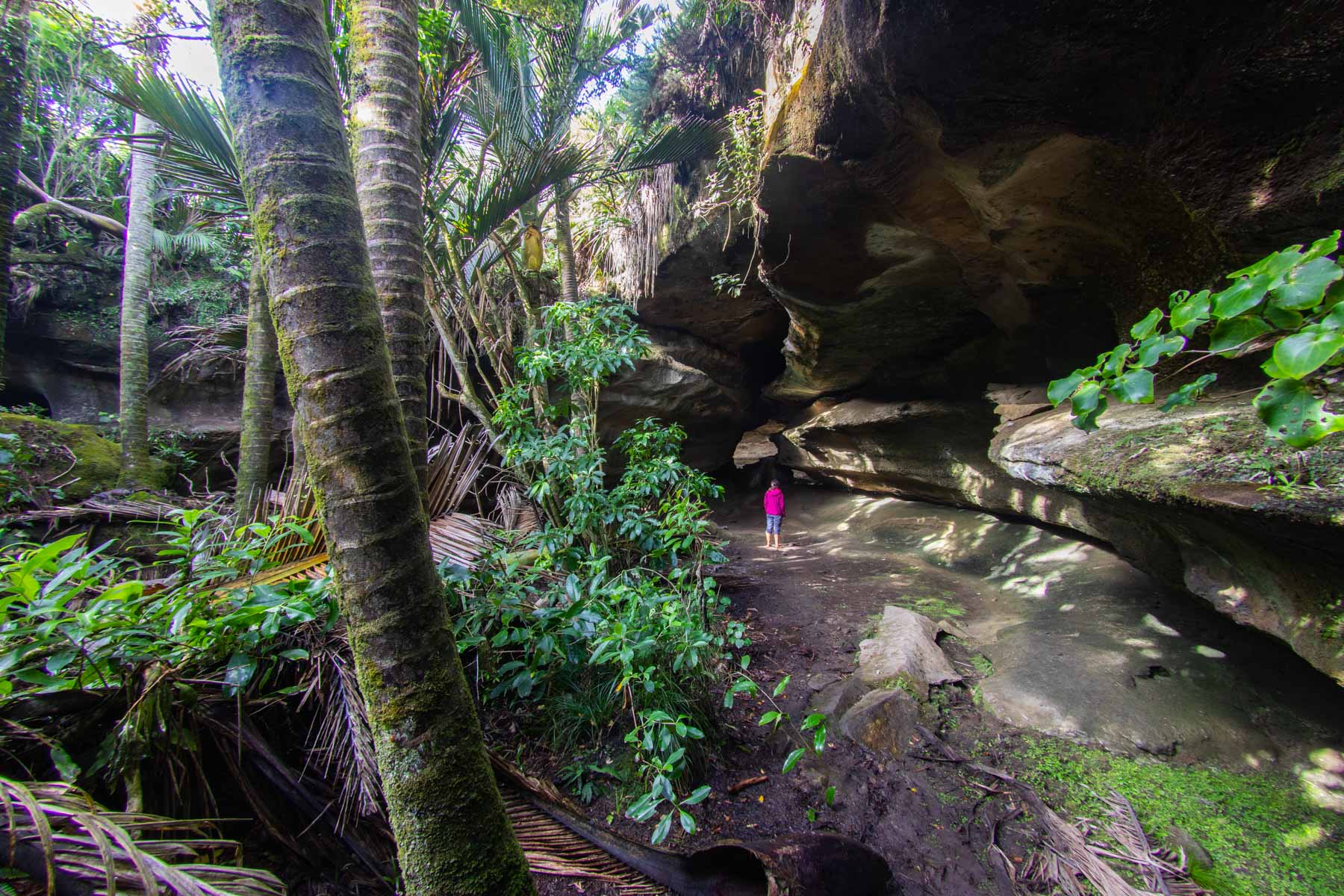 Debout sous une falaise, une femme observe la végétation luxuriante qui l’entoure.