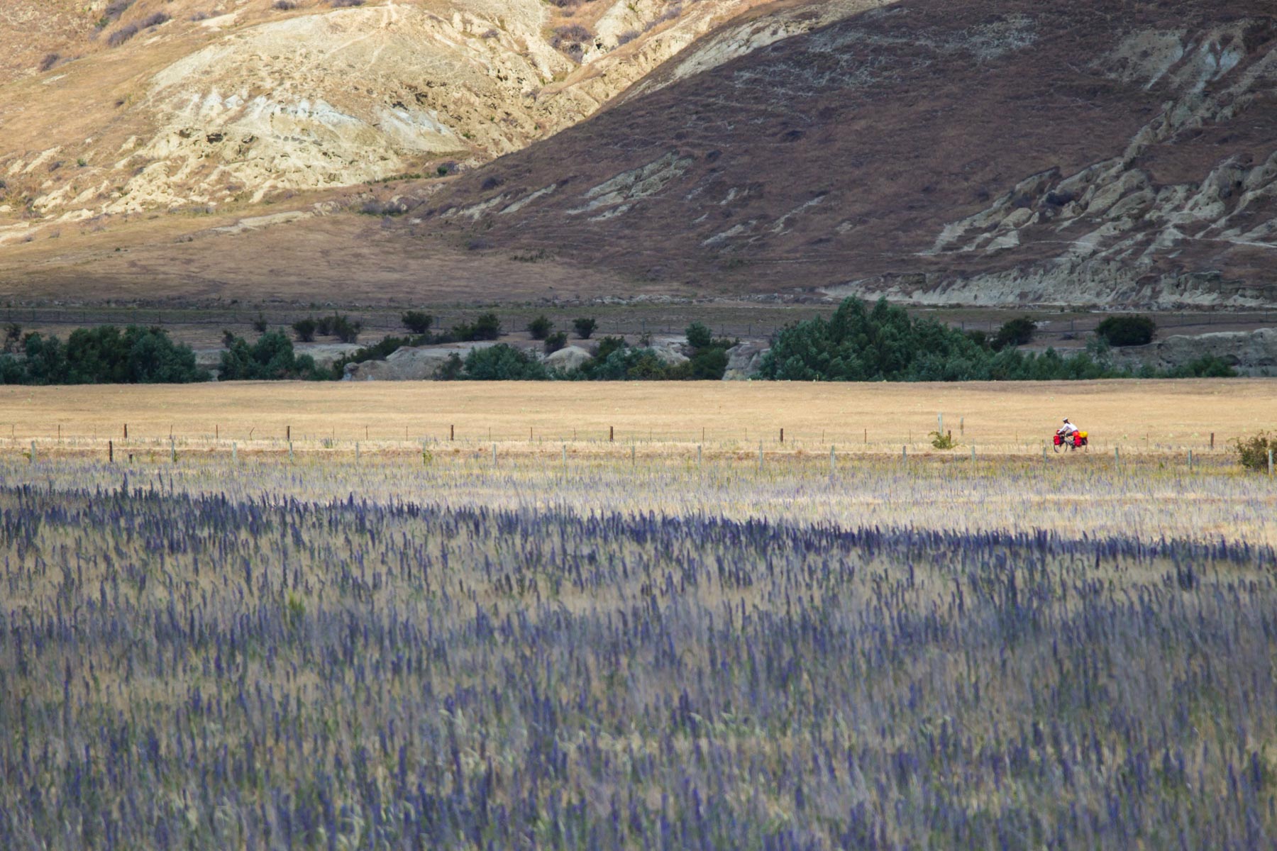 Grâce à un petit sentier, une femme à vélo roule à travers champs dans un paysage aride.