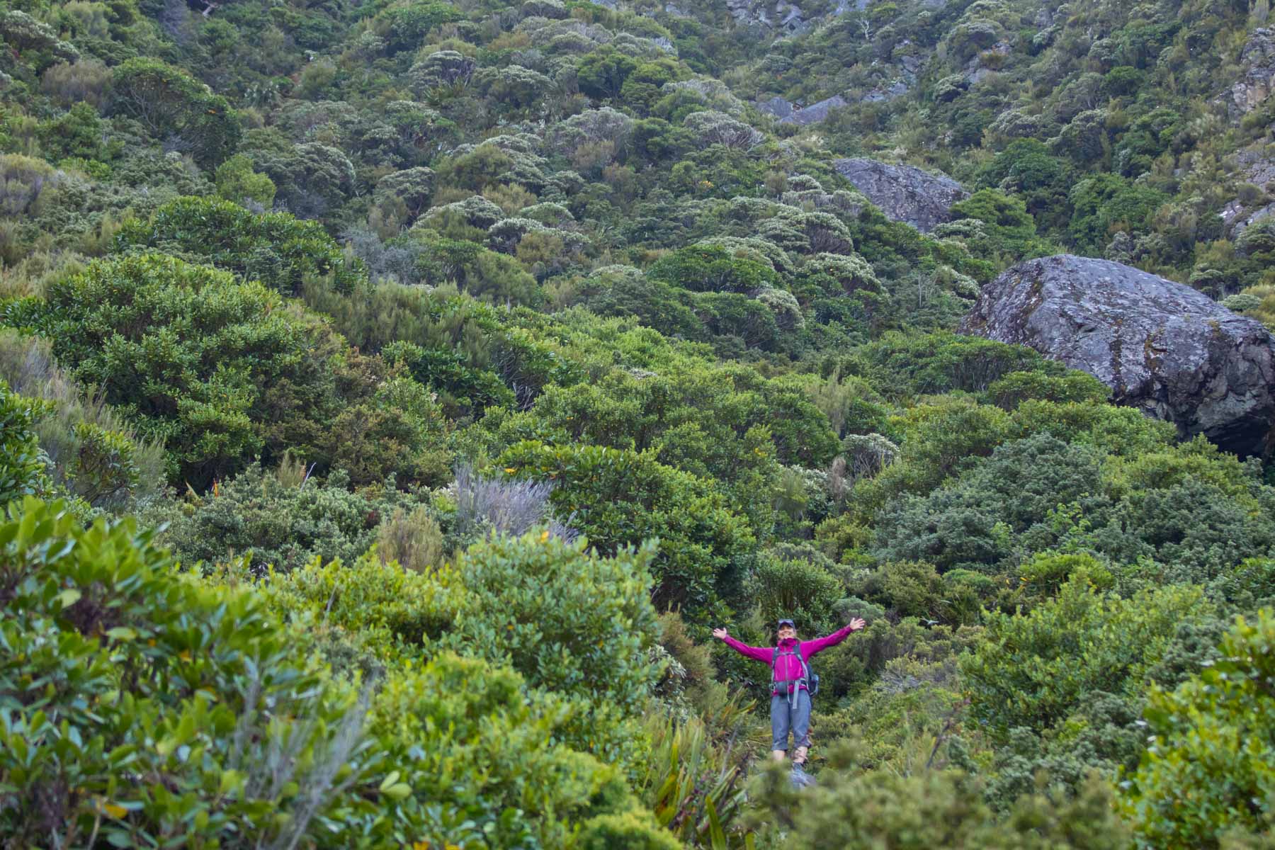 Femme debout et les bras en l’air parmi une végétation dense sur un flanc de montagne.