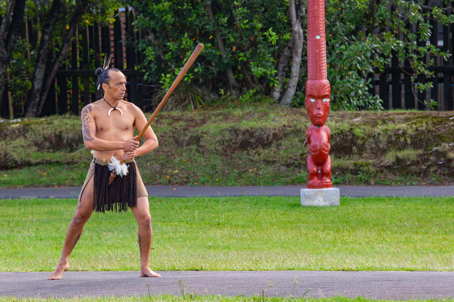 Un Māori vêtu de ses habits traditionnels marche vers la droite d’un pas hésitant. Il tient dans ses mains une lance en bois dont l’extrémité présente des plumes blanches.