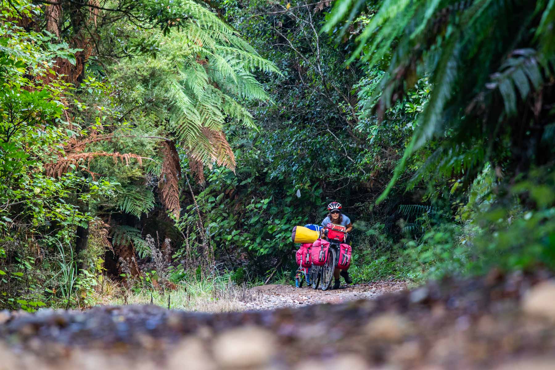 Au cœur de la forêt, une femme pousse son vélo chargé dans une pente abrupte.