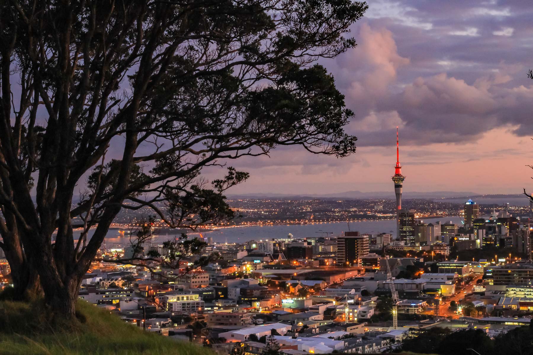 Nuages aux teintes rosées par l’aurore et point de vue en hauteur sur le centre-ville d’Auckland encore illuminé.