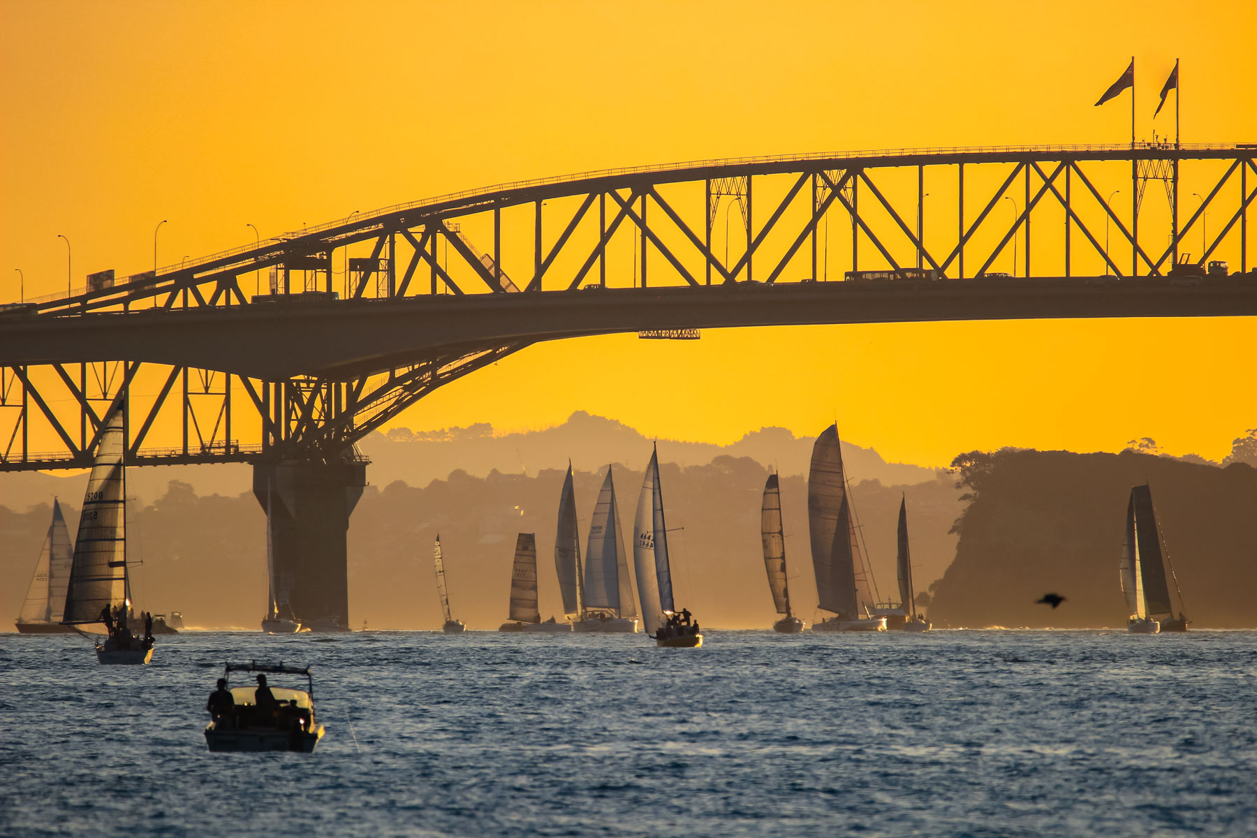 Les silhouettes d’une douzaine de voiliers apparaissent sous un pont au coucher du soleil.