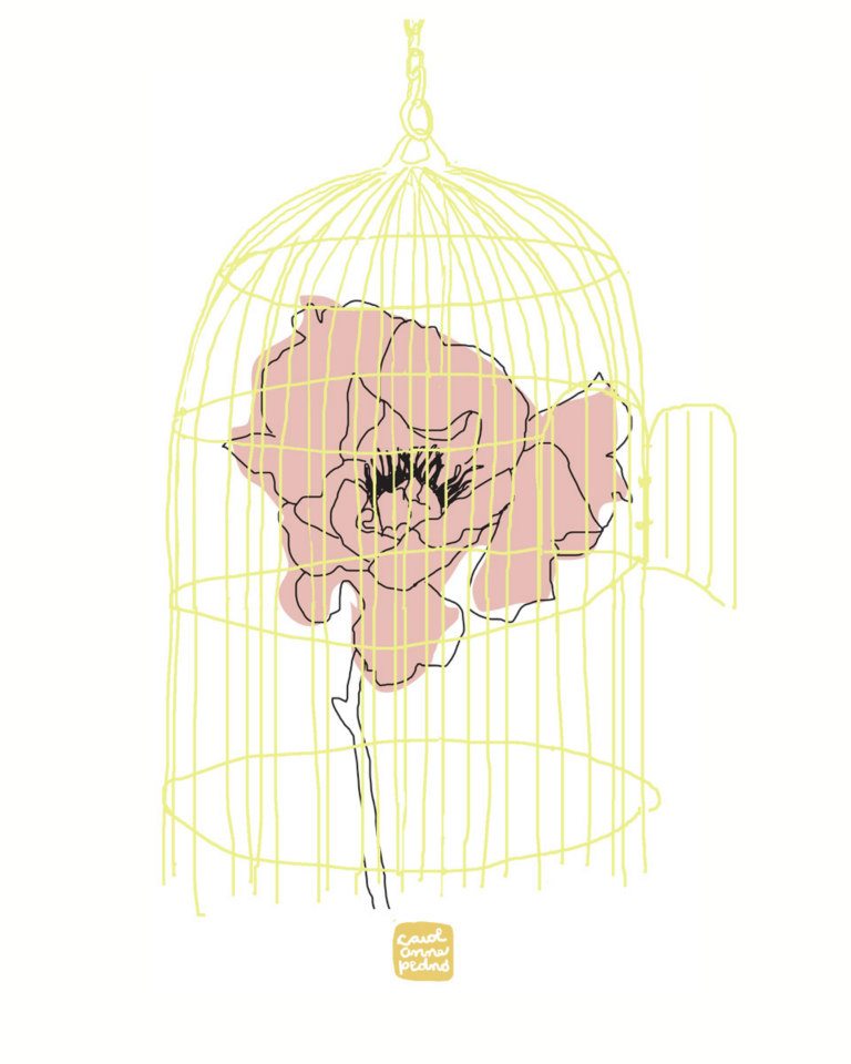 Illustration d’une fleur rose dans une cage à oiseaux doré.